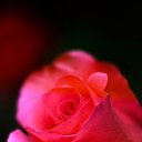 ���� ��������, ����-���������, 58 ��� - ��������� 17 ������ 2022 � ������ ���� ����������