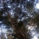 ���� Haver Santa, ���������� ����� - ��������� 28 ���� 2021 � ������ �:)�