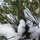 ���� Inna, ������ - ��������� 7 ������ 2021 � ������ ������ ��������