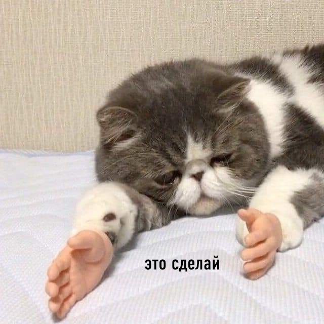    : - 2