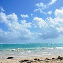 ���� �������, ����������� - ��������� 23 ������ 2022 � ������ ��������