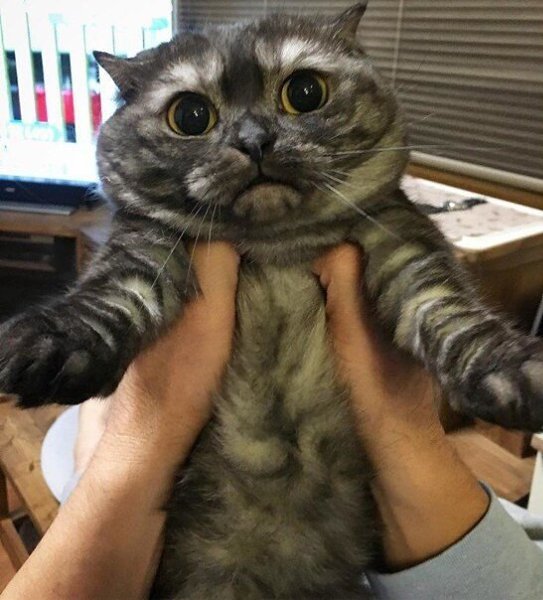   )