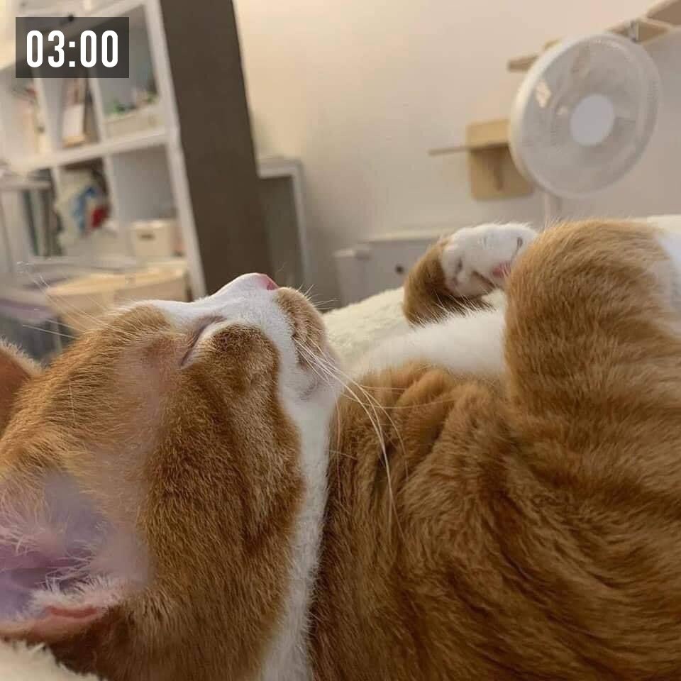   - 2