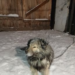 ���� ��������, ������, 66 ��� - ��������� 7 ������ 2022