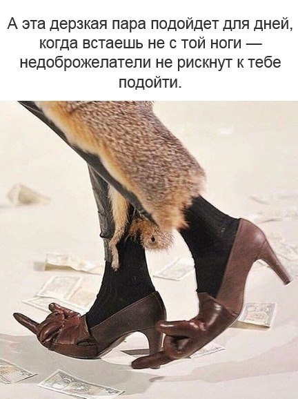   ,   .© - 28  2021  17:54