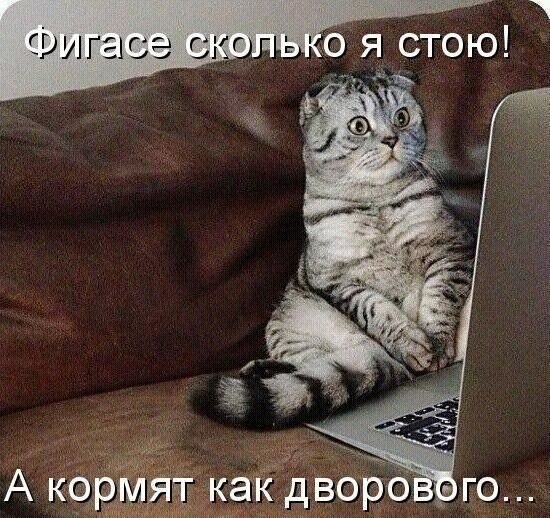   - 1  2021  16:33