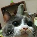  ,  -  19  2021