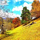 ���� �������, ����������, 38 ��� - ��������� 20 ������� 2021 � ������ ���� ����������