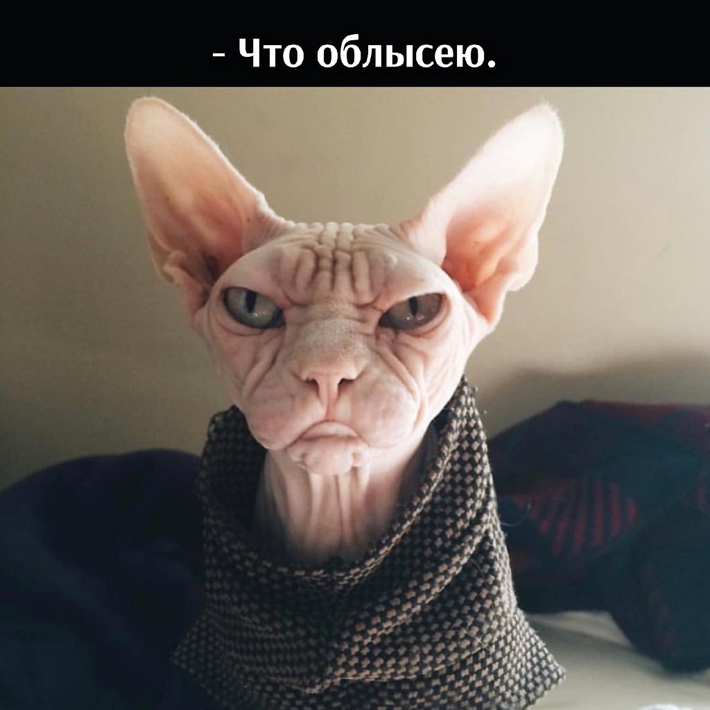       - 11  2021  10:32 - 4