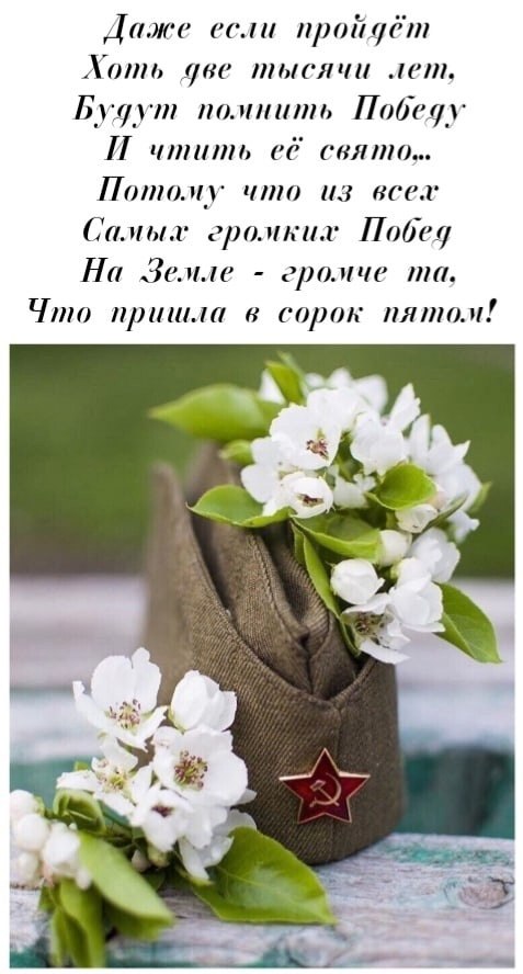   ,    . - 8  2021  18:11 - 4