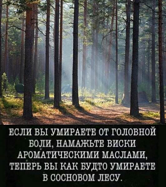 ���� ������� ������ ������, ��� �� �����������: ��������� ���������� ��� ������. ���� ���� ...