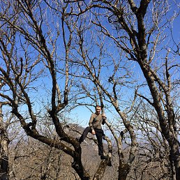 ���� ������, ���������� �����, 54 ���� - ��������� 16 �������� 2021