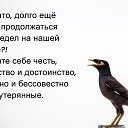  , , 53  -  11  2021    