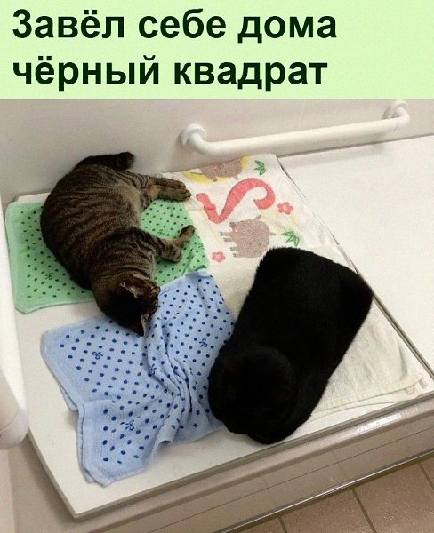   :D - 8  2022  18:41
