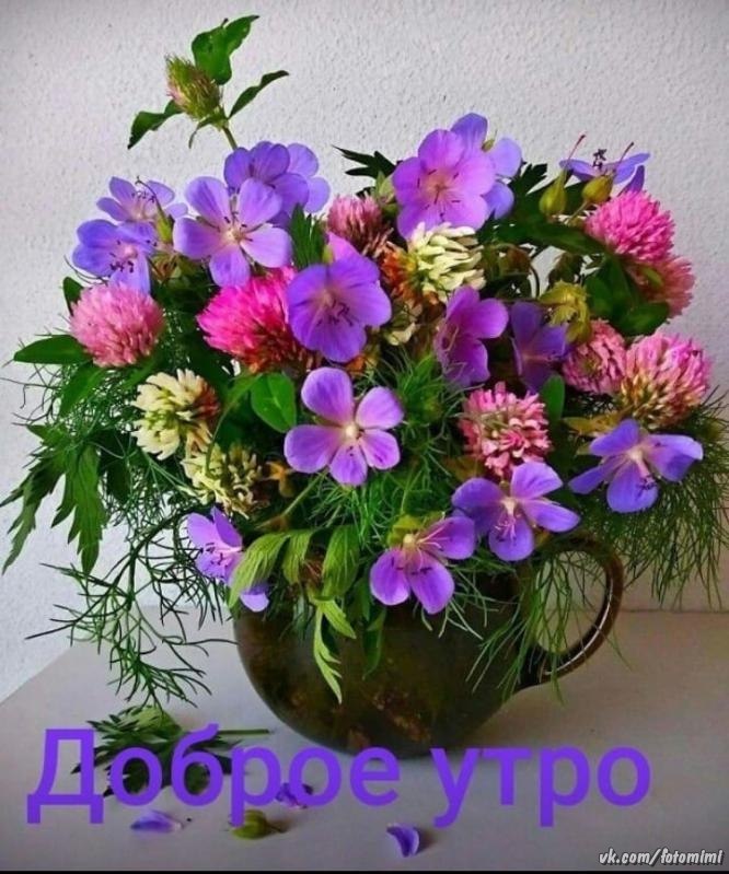   - 5  2021  08:18