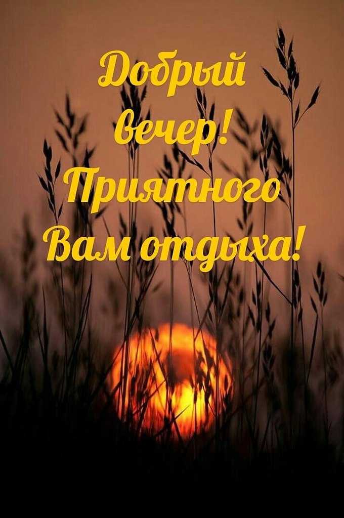   ,    . - 8  2021  18:23 - 5