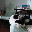 ���� Sergey, ����-�����������, 49 ��� - ��������� 21 ���� 2021 � ������ ���� ����������