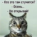 ���� ���������, ������ - ��������� 31 ������� 2021 � ������ ������ ��������