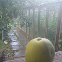 ���� ������, ������ - ��������� 28 ������ 2021 � ������ ���� ����������