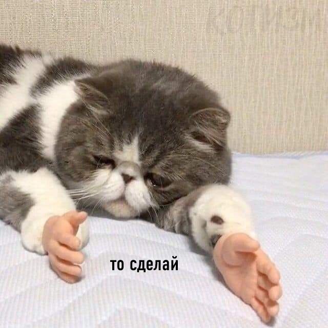    :