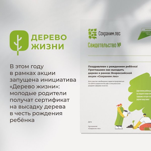 К акции «Сохраним лес» присоединились больше миллиона человек. Ты участвуешь? Больше 70 млн деревьев ... - 6