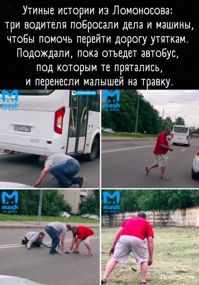 ,       :
