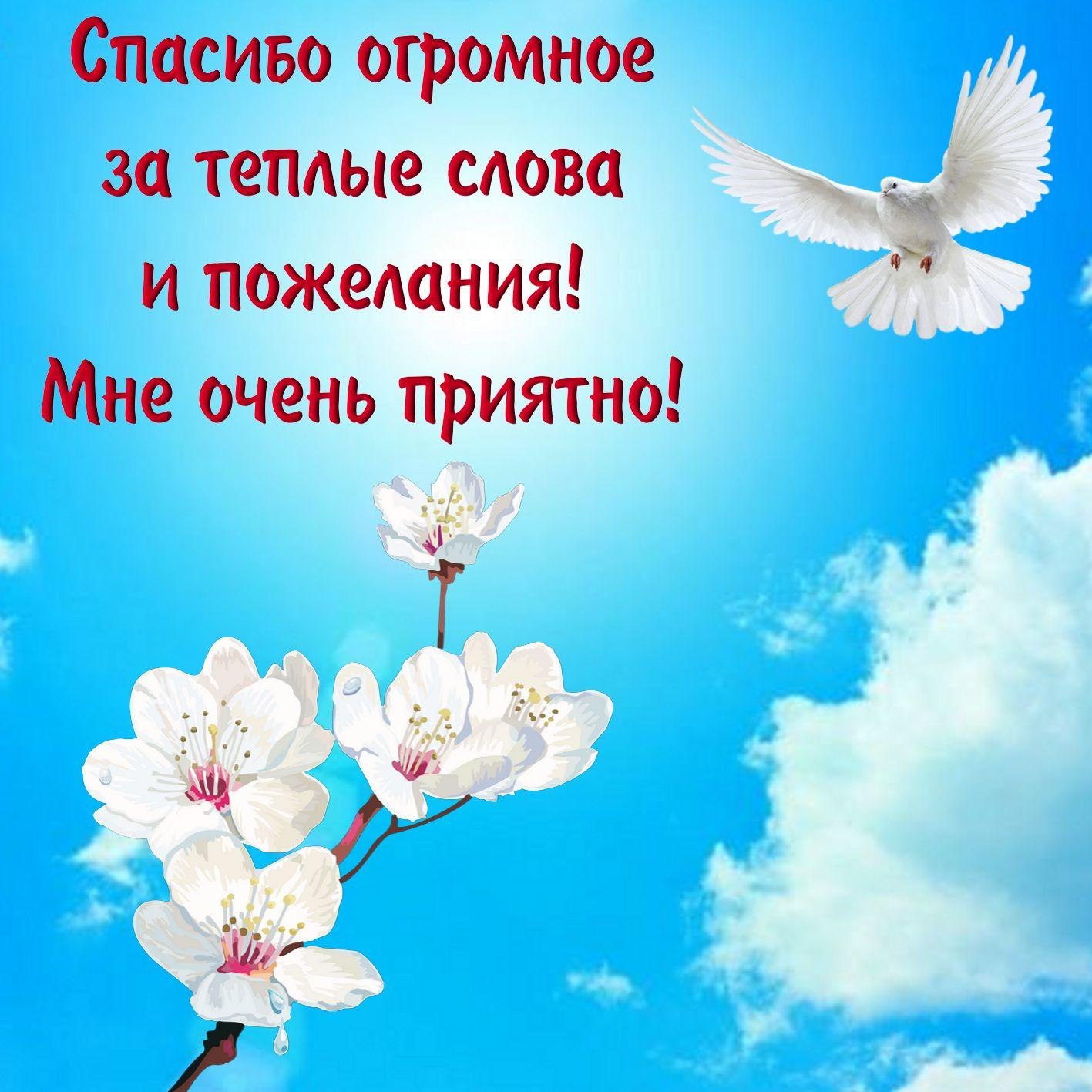 ***Victoria Viktorovna*** - 2  2021  07:06 - 3