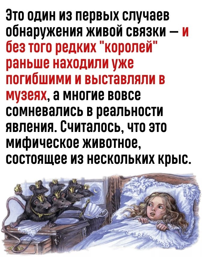       - 3