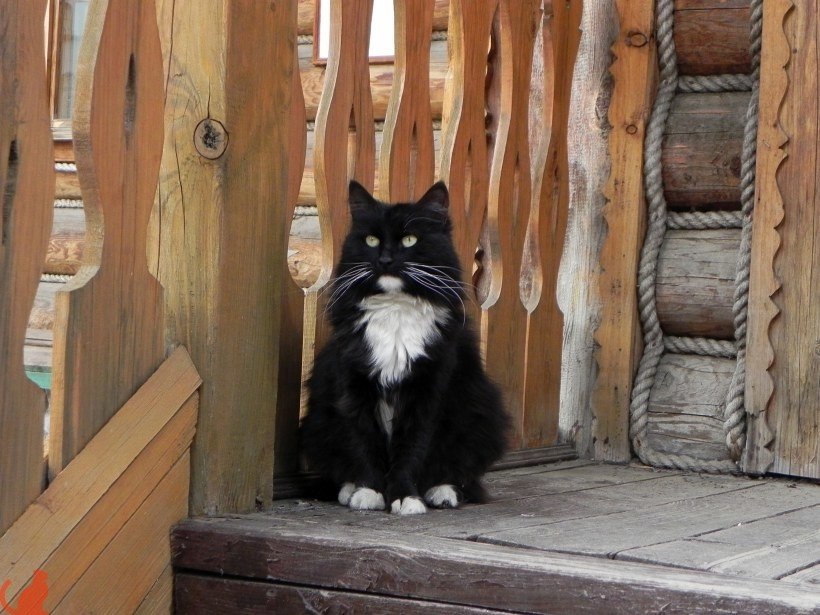  .       -    ! : '  ...