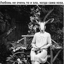 ������, �����������, 32 ����