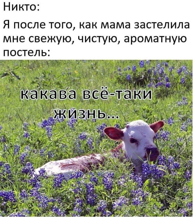  ,     ,    .