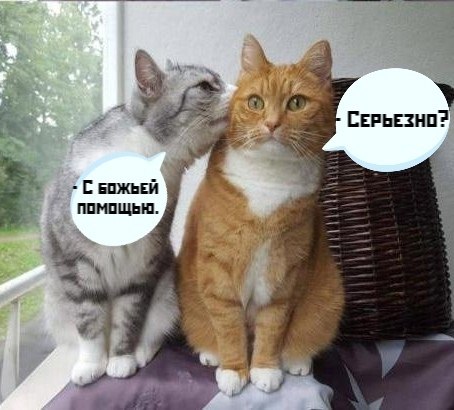       - 19  2021  20:32 - 2