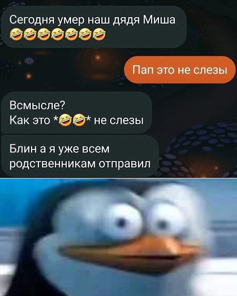  - 28  2021  13:39