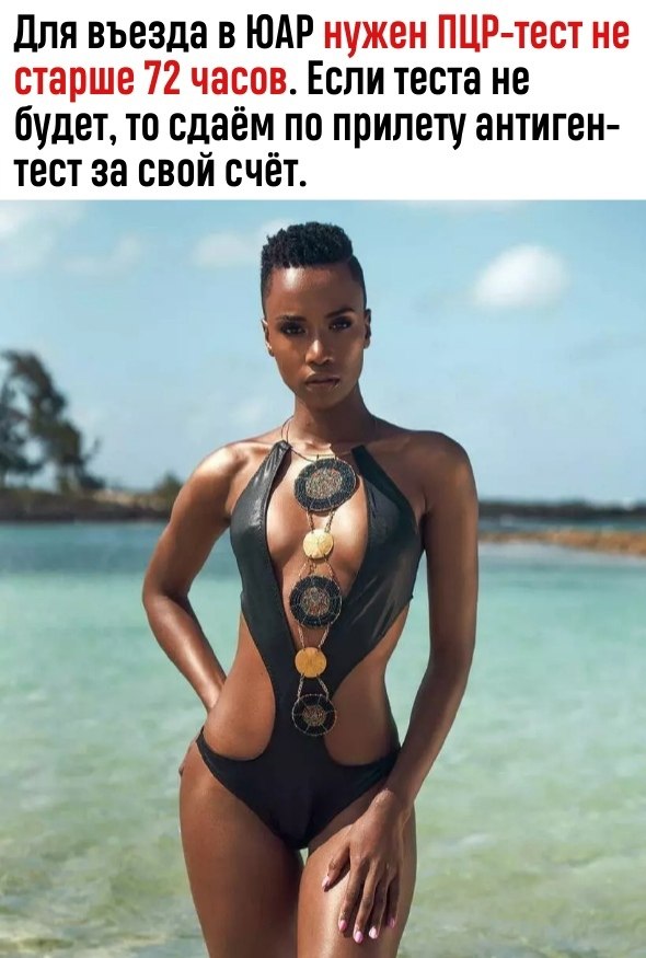    -     -  