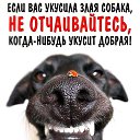 ���� ����������, ��������, 47 ��� - ��������� 8 ��� 2021 � ������ ������ ��������
