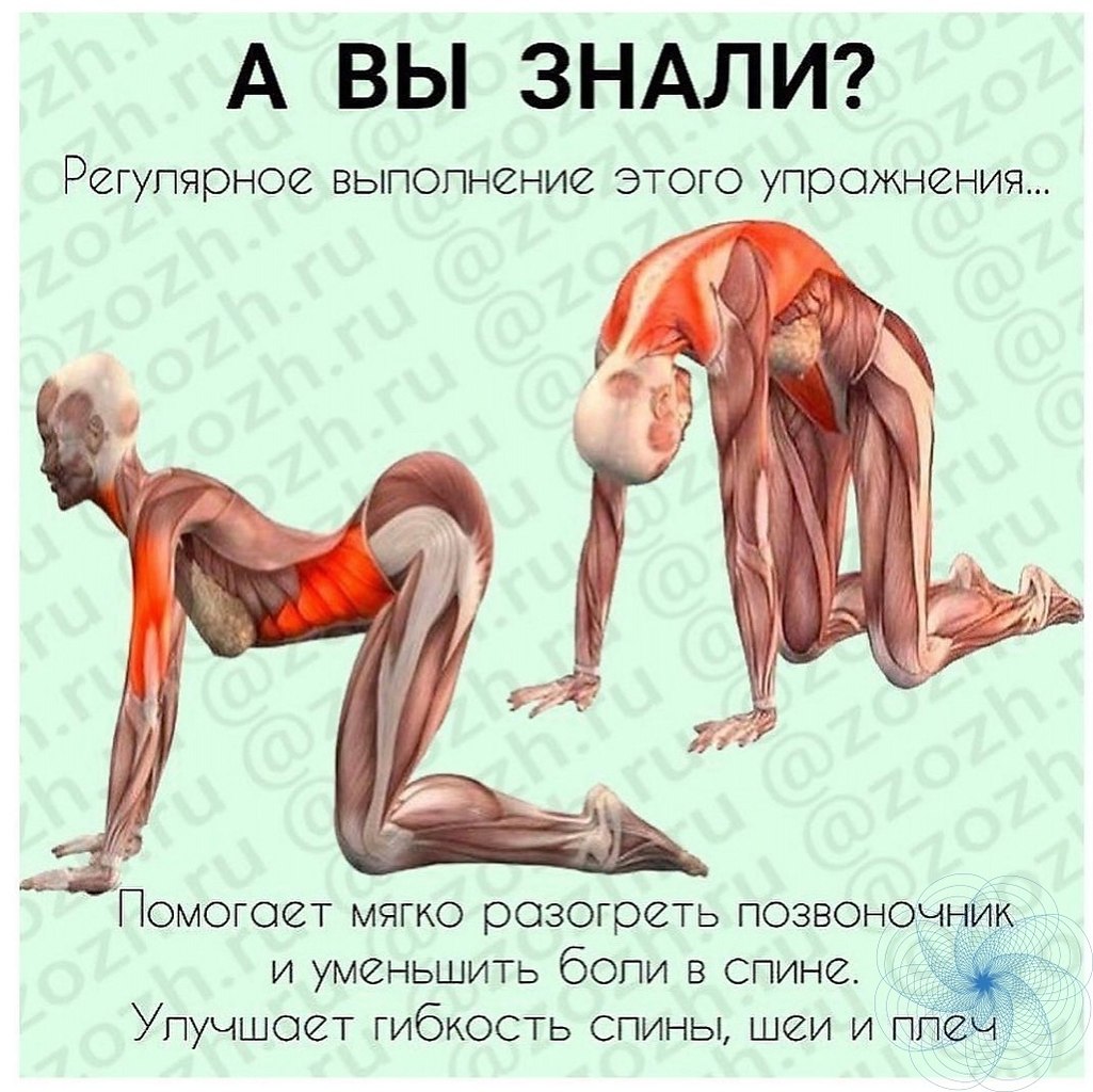    - 28  2021  23:22