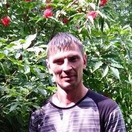 ������, ������������, 43 ����