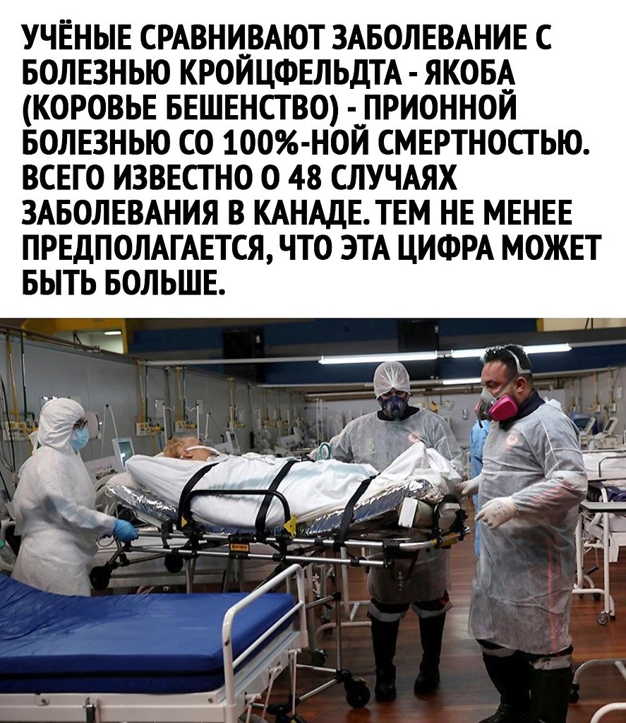   .     - 3