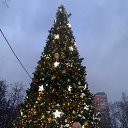 ���� ������, ������, 51 ��� - ��������� 31 ������ 2022 � ������ ���� ����������
