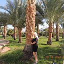 ���� Leonarda, ������ - ��������� 18 ������ 2022 � ������ ���� ����������