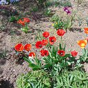  , , 73  -  3  2021      2021