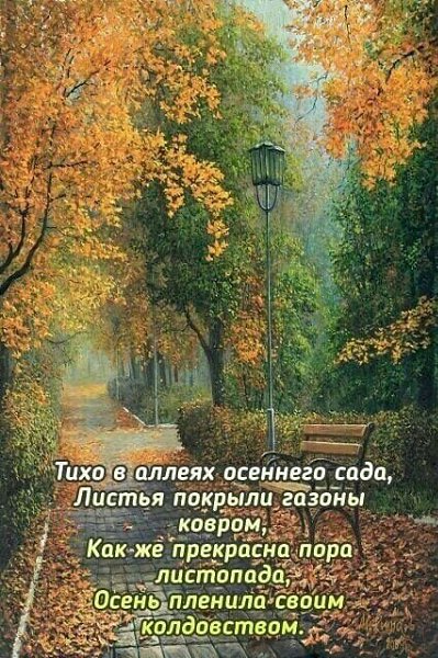   ,    . - 24  2021  08:50 - 8