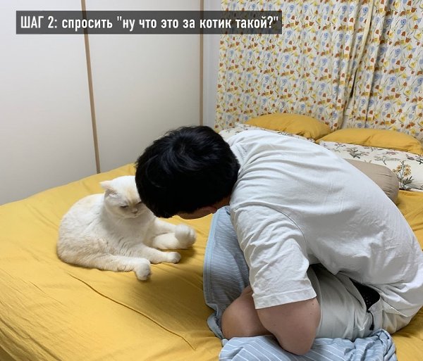        : - 2