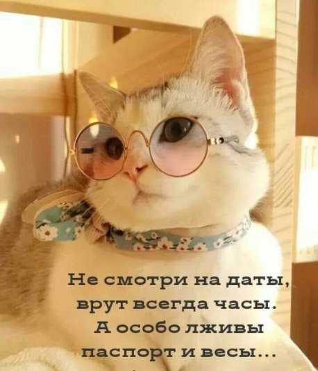  - 16  2021  09:28