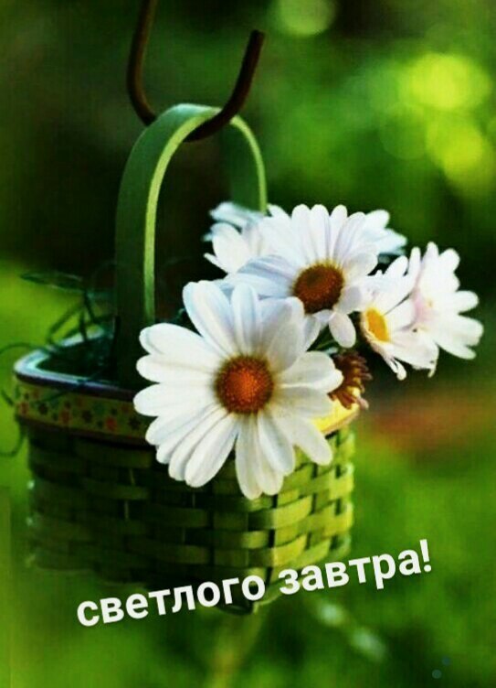   ,    . - 5  2021  22:41 - 10