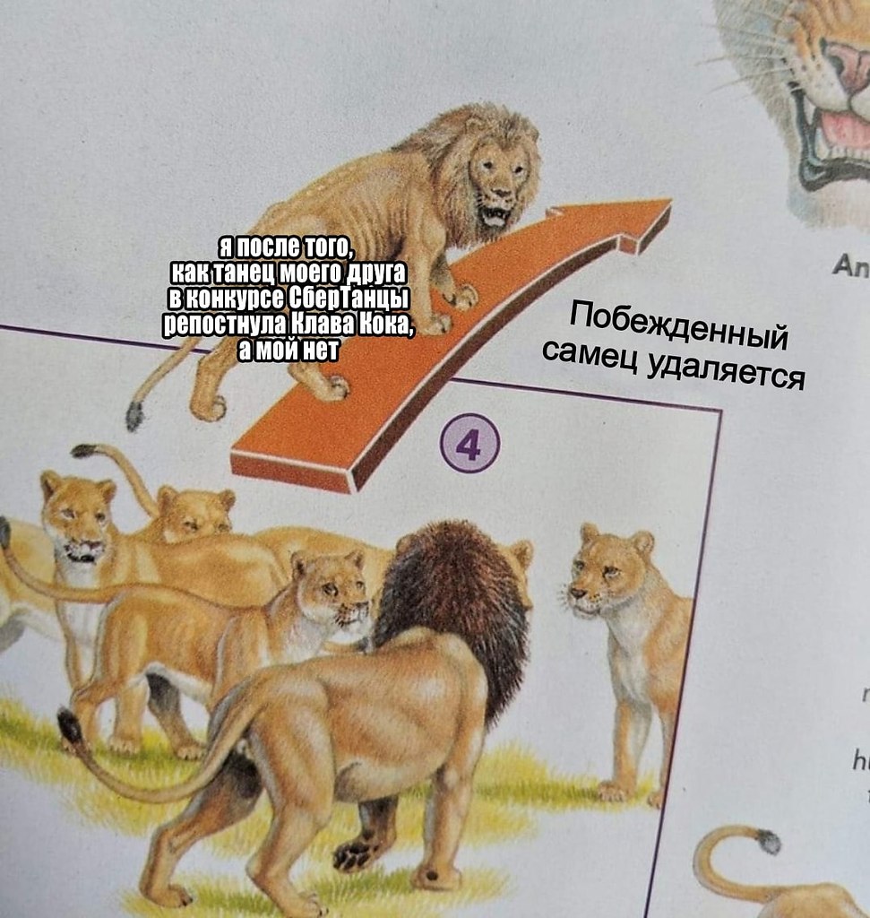 , .    !       .   # ...
