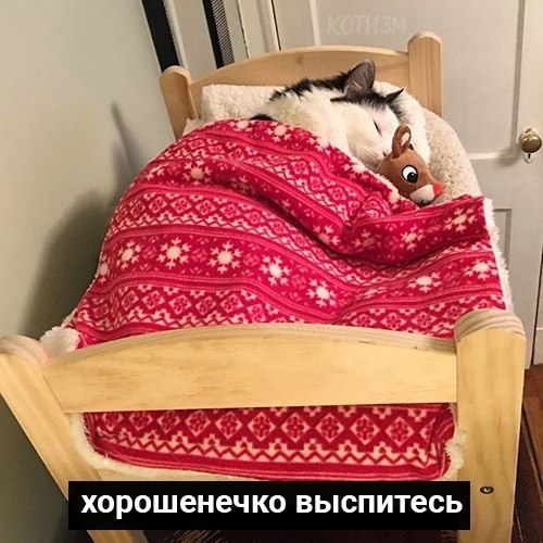   ,    - 9