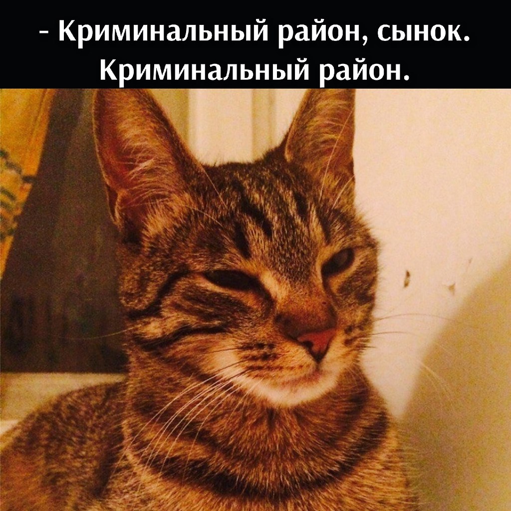       - 29  2021  21:51 - 4
