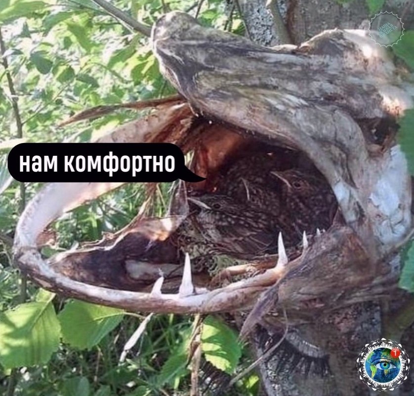 apco https://fotostrana.ru/away?to=/sl/m2t4atplant - 2