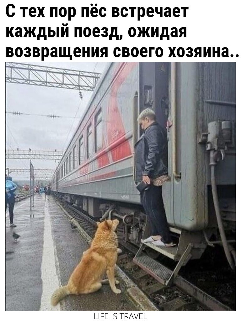   - 3